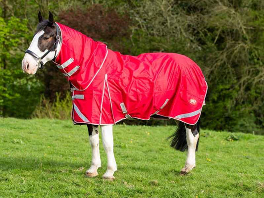 WIDE FIT 0g Detachable Neck Turnout Rug - Red - Pet Supplier Store