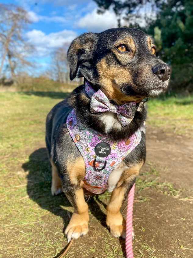 Wild Blossom - Design Poop Bag Holder - Pet Supplier Store