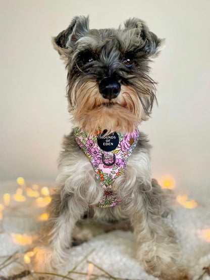Wild Blossom - Design Poop Bag Holder - Pet Supplier Store