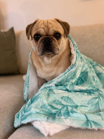 Willow Wanders Blanket - Pet Supplier Store