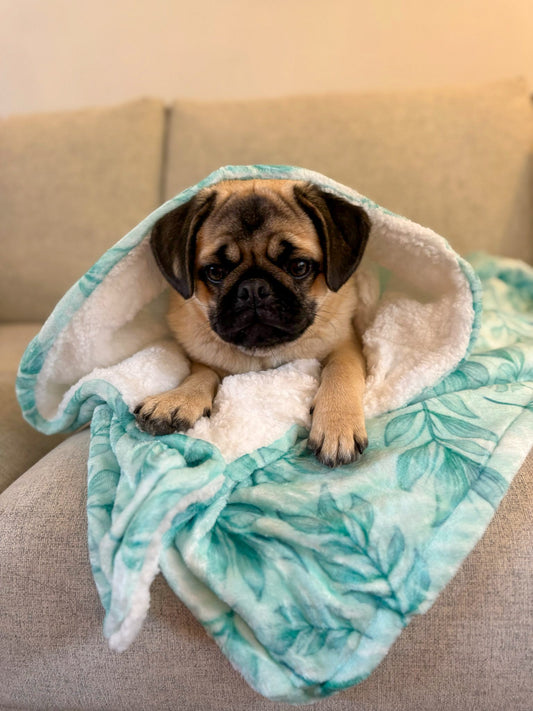 Willow Wanders Blanket - Pet Supplier Store