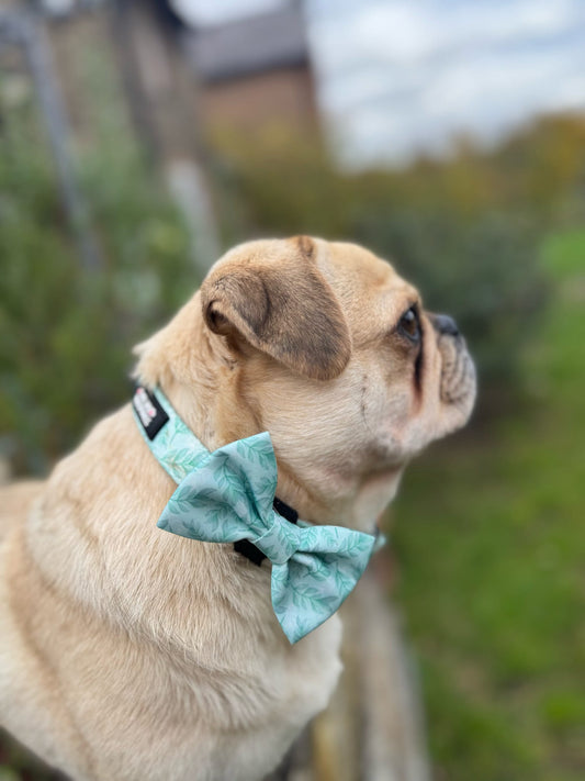 Willow Wanders Bow Tie - Pet Supplier Store