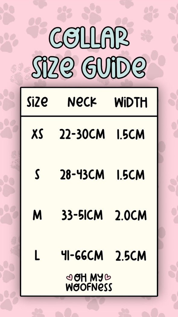 Willow Wanders Collar - Pet Supplier Store
