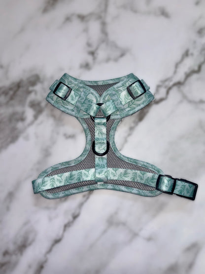Willow Wanders Harness - Pet Supplier Store