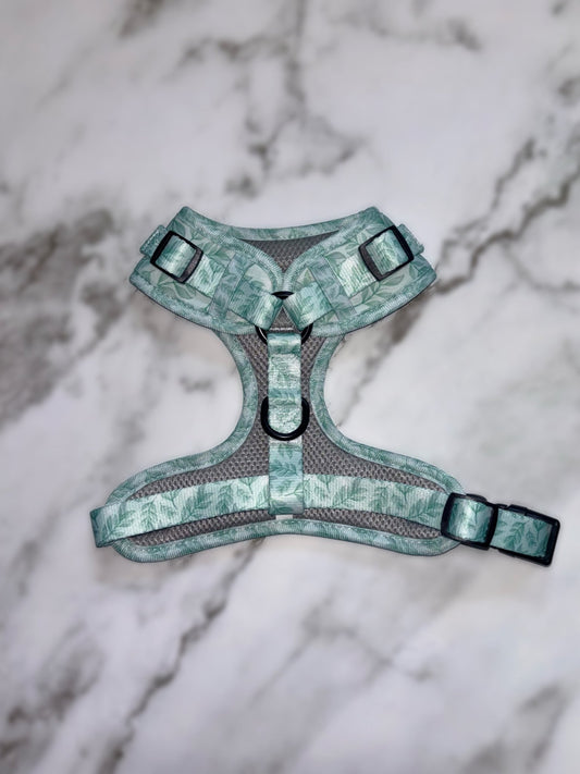 Willow Wanders Harness - Pet Supplier Store
