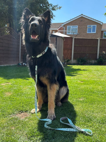 Willow Wanders Lead - Pet Supplier Store