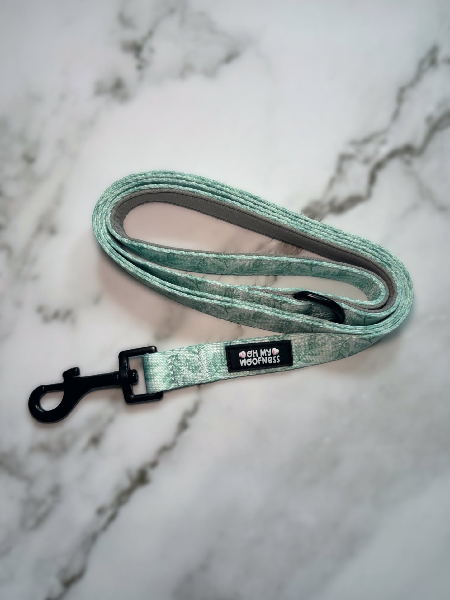Willow Wanders Lead - Pet Supplier Store