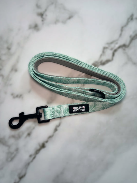 Willow Wanders Lead - Pet Supplier Store
