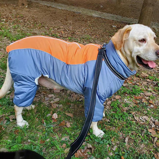 Winter/Autumn Retriever Dog coat - Pet Supplier Store