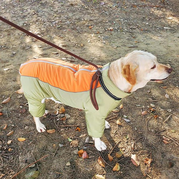 Winter/Autumn Retriever Dog coat - Pet Supplier Store
