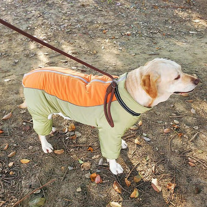Winter/Autumn Retriever Dog coat - Pet Supplier Store