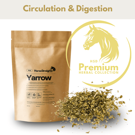 Yarrow - Pet Supplier Store