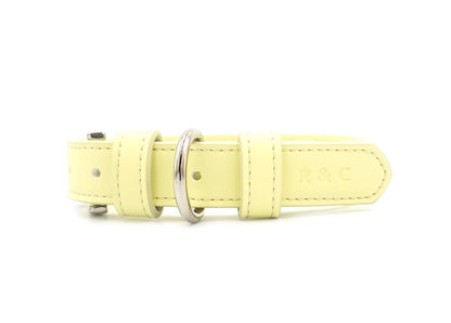 Yellow Leather Dog Collar - Pet Supplier Store