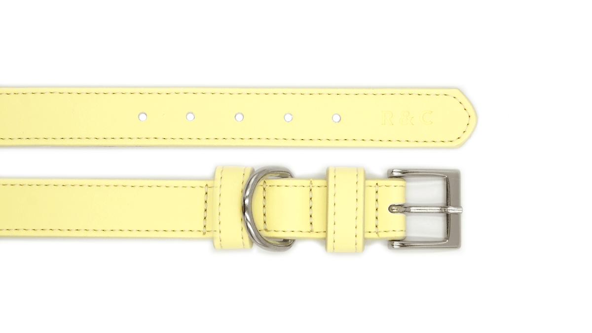 Yellow Leather Dog Collar - Pet Supplier Store
