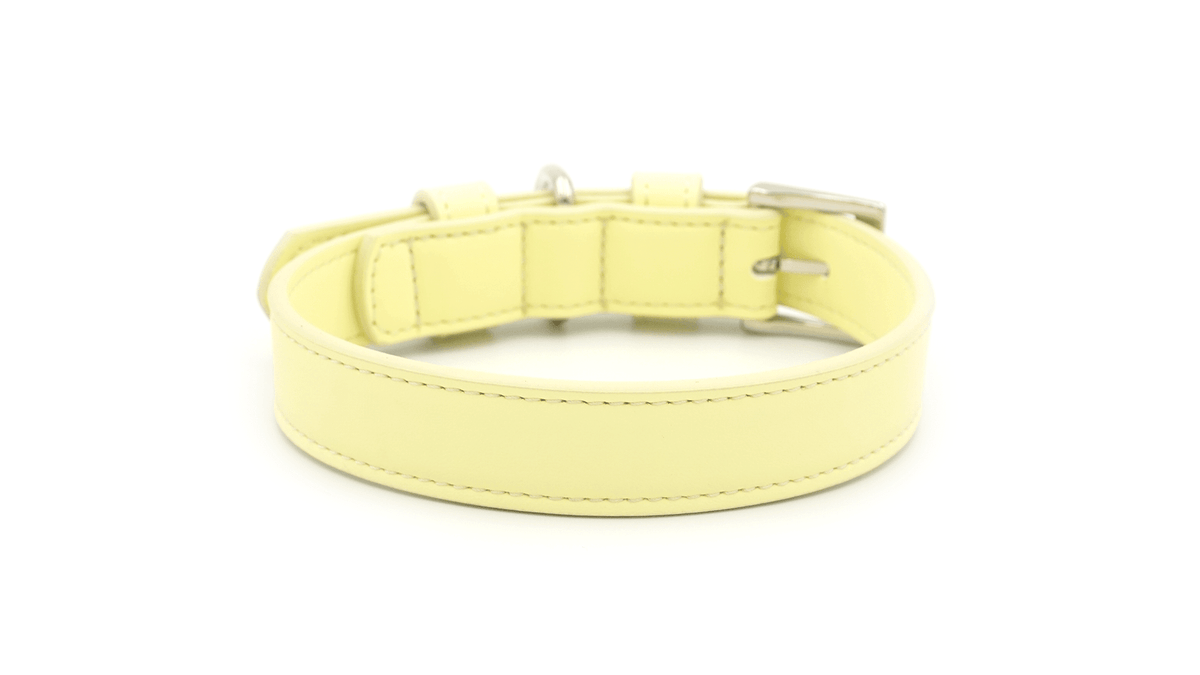Yellow Leather Dog Collar - Pet Supplier Store