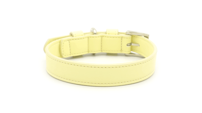 Yellow Leather Dog Collar - Pet Supplier Store