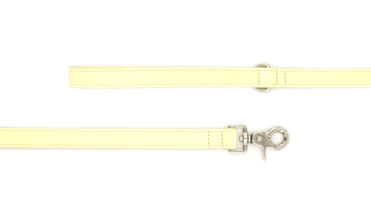 Yellow Leather Dog Lead - Pet Supplier Store