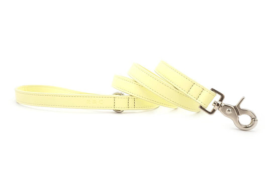 Yellow Leather Dog Lead - Pet Supplier Store