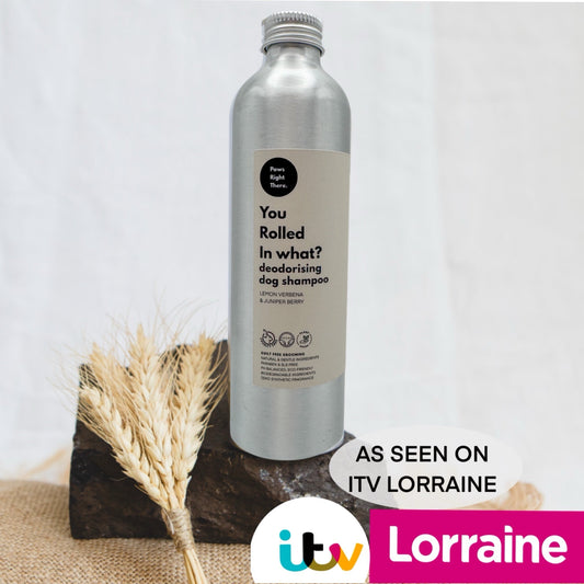 ‘You Rolled in What?’ deodorising dog shampoo - Pet Supplier Store