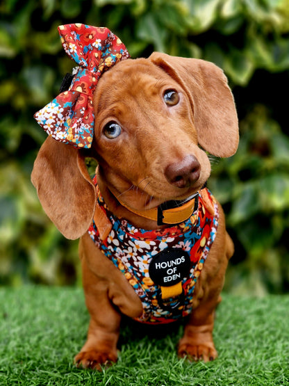 Retro BloomDesign Dog Bow Tie