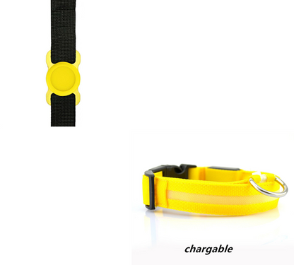 Night Safety Dog Collar Set