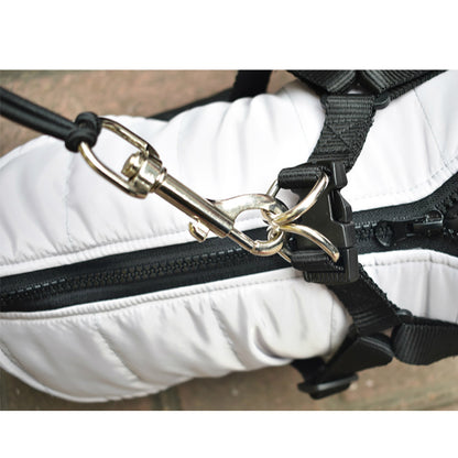 Bike Traction Lead Harness for Dogs
