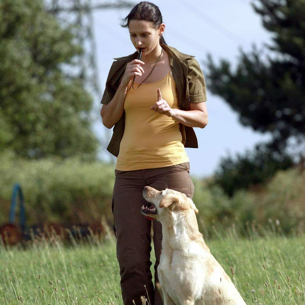 2pc Dog Training WHISTLE - Pet Supplier Store