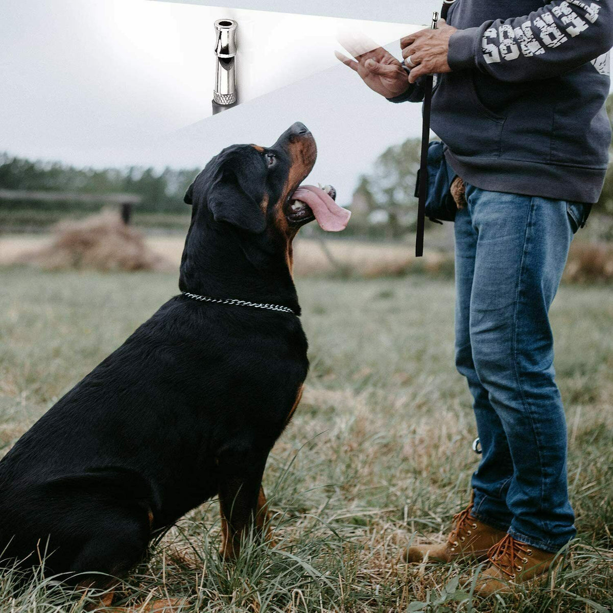 2pc Dog Training WHISTLE - Pet Supplier Store