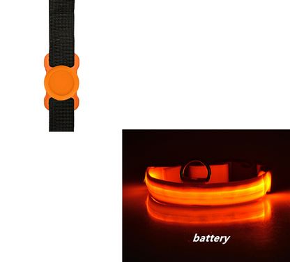 Night Safety Dog Collar Set