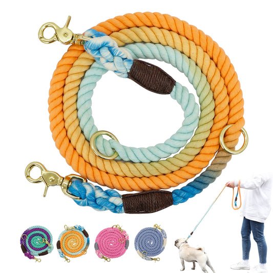 Gradient Pet Walking Dog Collars and Leads