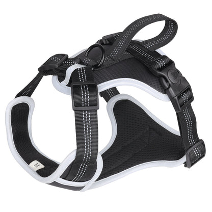 Strap Vest Dog Hand Holding Rope