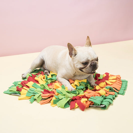 Rainbow Pet Dog Sniffing Mat