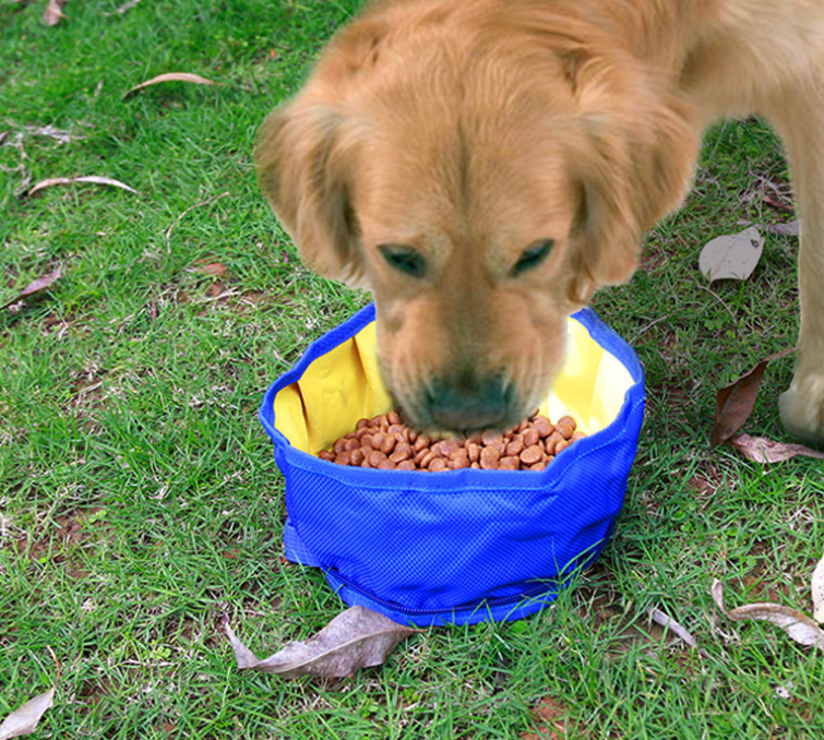 Portable backpack compact pop-up dog bowl