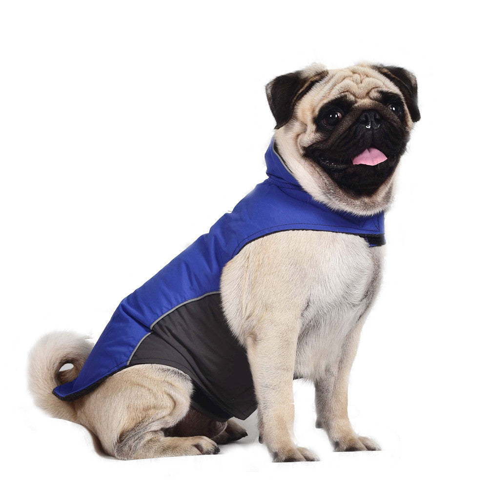 Activewear Pet Dog Jacket