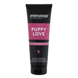 582665.jpg