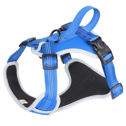 Strap Vest Dog Hand Holding Rope