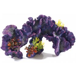 958244.jpg