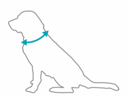 Ancol Stormguard Dog Coat