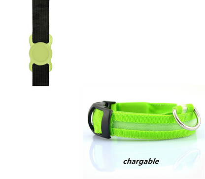 Night Safety Dog Collar Set