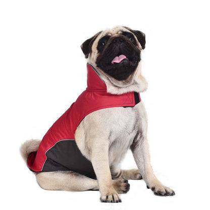 Activewear Pet Dog Jacket - Pet Supplier Store