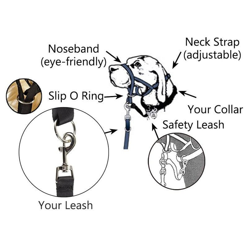 Adjustable Control Dog Pet Harness - Pet Supplier Store