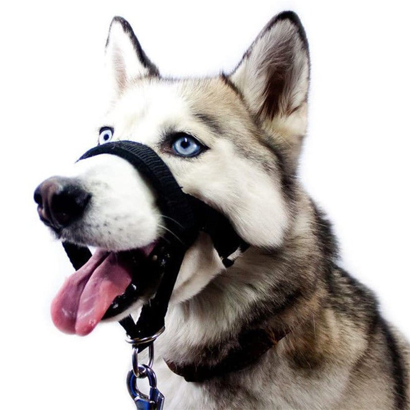 Adjustable Control Dog Pet Harness - Pet Supplier Store