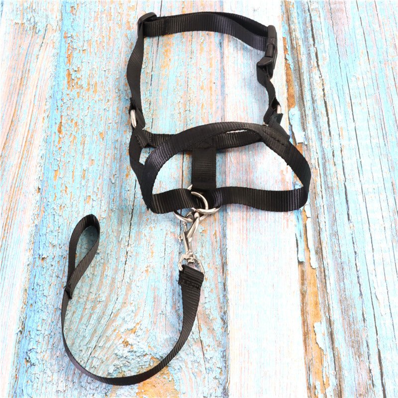 Adjustable Control Dog Pet Harness - Pet Supplier Store