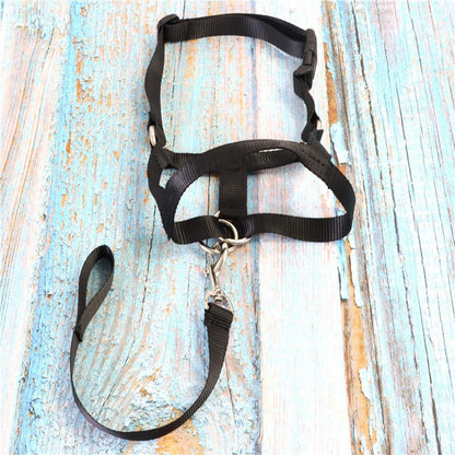 Adjustable Control Dog Pet Harness - Pet Supplier Store