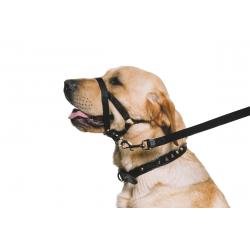 Ancol Control Training Halter - Pet Supplier Store