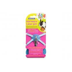 Ancol Rabbit Set Blue - Pet Supplier Store