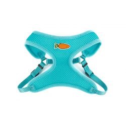Ancol Small Animal Harness Set Teal blue - Pet Supplier Store