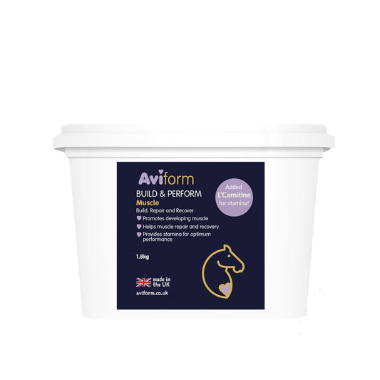 Aviform Build up Equine Muscle Build, Repair & Recovery with added Stamina for Horses - Pet Supplier Store