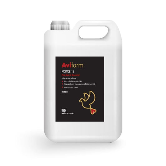 Aviform Force 12 + DMG Pre Race Booster for Racing Pigeons - Pet Supplier Store