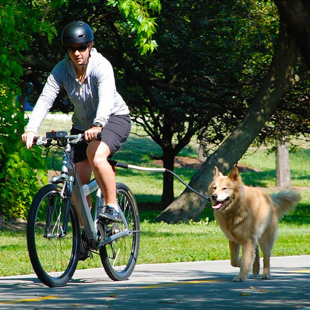 Bike Traction Lead Harness for Dogs - Pet Supplier Store
